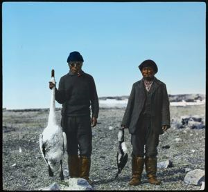 Image: Swan and Loon Held by Two Eskimos [Inuit] of Baffin Land